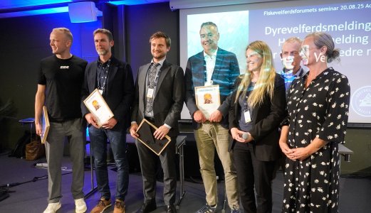 AkvaFuture og oppdrettere som slutta med rensefisk vant pris for fiskevelferd