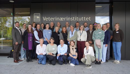 Samarbeidsmøte for bedre datakvalitet i dyrehelseregistre