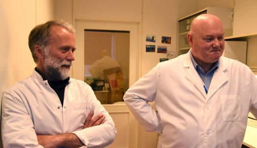 Veterinærinstituttet samler fiskediagnostikk i Harstad
