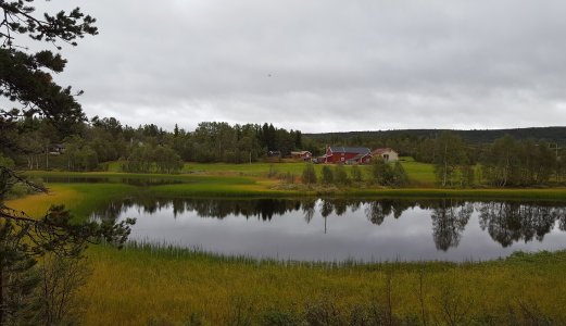 Rotenonbehandling av Gjettjønna i Røros kommune