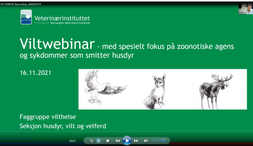 Stor interesse for viltwebinar
