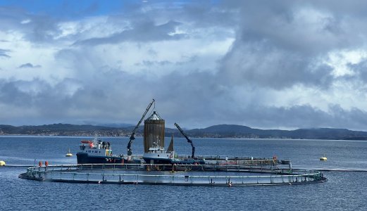 Kunnskapsråd om lusekvoter