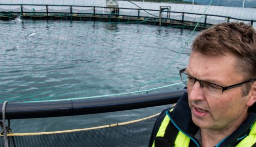 Lukkede merdsystem beskytter mot lakselus