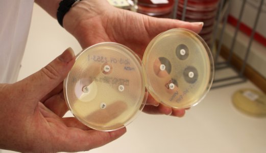 Oppdatert kunnskap og status om antibiotikaresistens- og forbruk