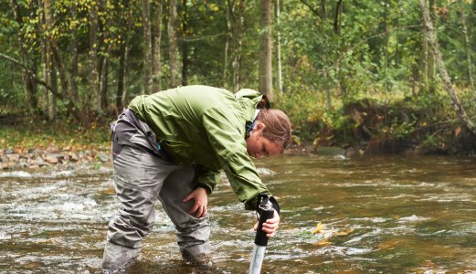 Klor kan bli nytt verktøy mot lakseparasitt