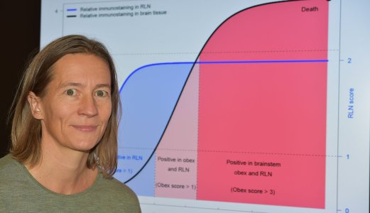 Hvor mange skrantesjuke dyr er det?