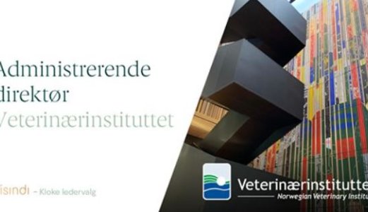 Er du vår nye administrerende direktør?