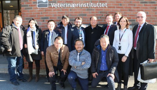 Delegasjon fra Kina imponert over norsk dyrehelse