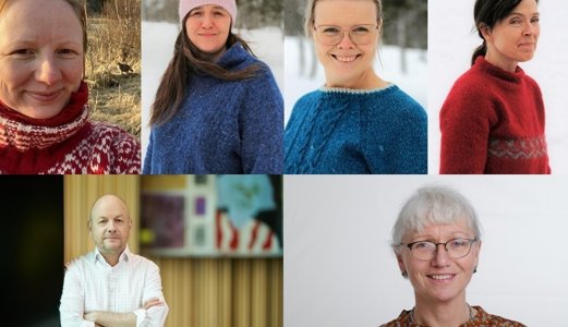 Blir heidra for framifrå innsats for Veterinærinstituttet