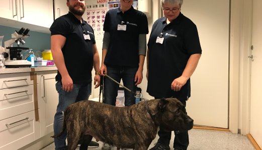Veterinærinstituttet tilstede på åpen dag hos AniCura