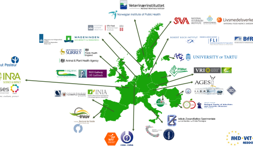 Veterinærinstituttet med i ni nye EU-prosjekter