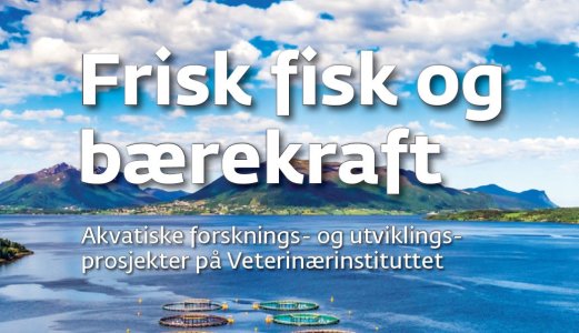 Ny oversikt over Veterinærinstituttets akvatiske forskningsprosjekter