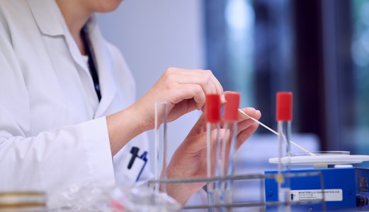 Antibiotikaresistente bakterier: Første påvisning av kolistinresistente E. coli i importert mat