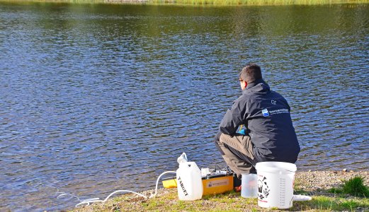 Miljø-DNA avslører forløpet under vann under et krepsepestutbrudd