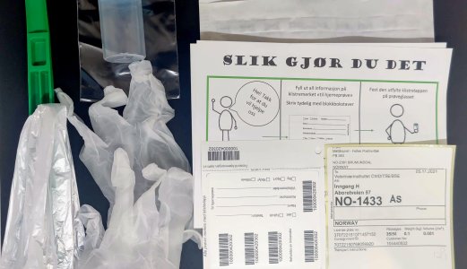 Slik bestilles prøvetakingsutstyr for å teste hjortevilt for skrantesjuke