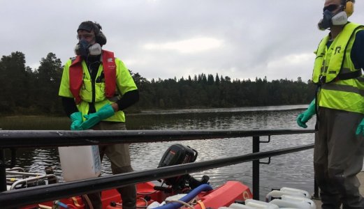 Bekjempelse av mort i sju vann i Bymarka i Trondheim