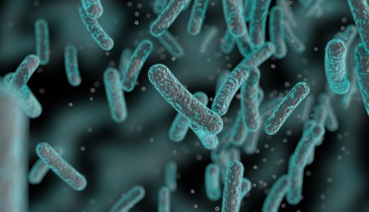 Salmonellautbrudd anses som over
