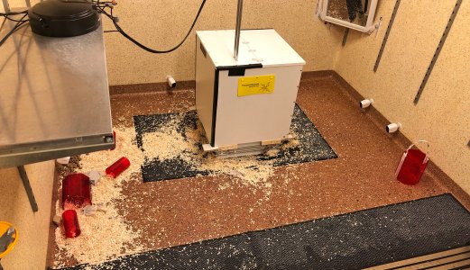 Elektrisk beskyttelse av bygninger mot rotter og mus