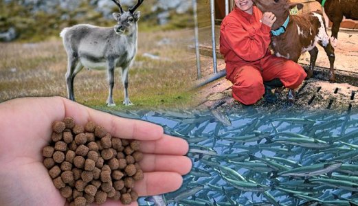 Veterinærinstituttets faglige aktivitetsrapport for 2017