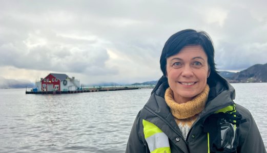 Dødelegheit for oppdrettslaks tredje kvartal