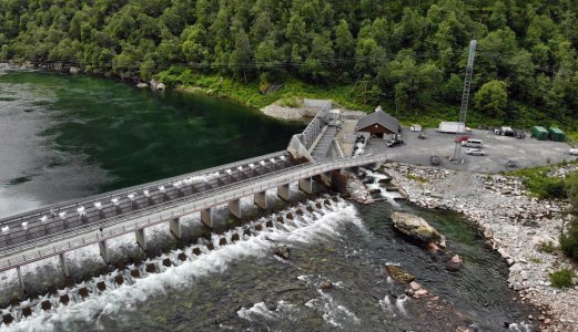 Nå fjernes lakseparasitt med klor for første gang