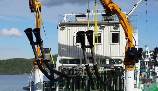 Varierende fiskevelferd i avlusersystem