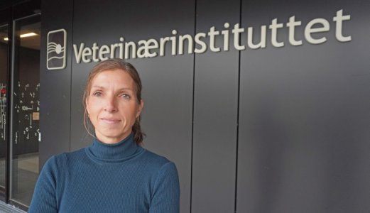 Ny avdelingsdirektør på plass