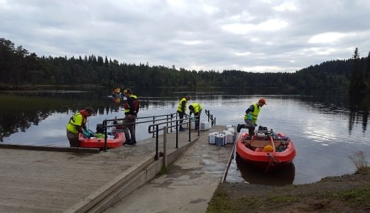 All mort fjernet med rotenon i sju vann i Bymarka i Trondheim