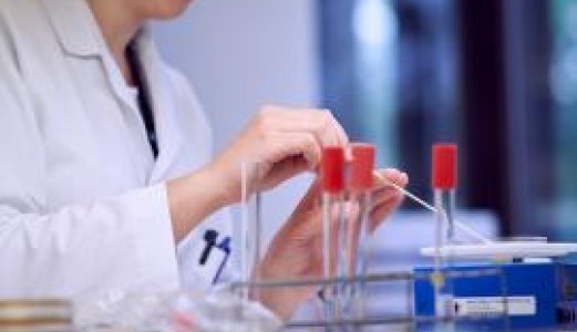 Ny rapport oppsummerer kunnskap om antibiotikaresistens hos dyr og i mat