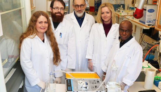 Påvisning av virus i vann kan gi effektiv sykdomskontroll