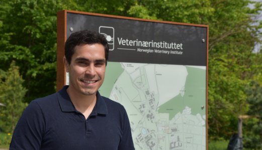 Forutser sykdomsutbrudd med dødelighetsdata