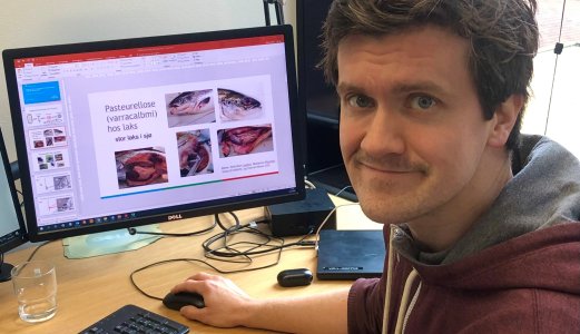 Skal finne ut om avlusning «hisser opp» bakteriene