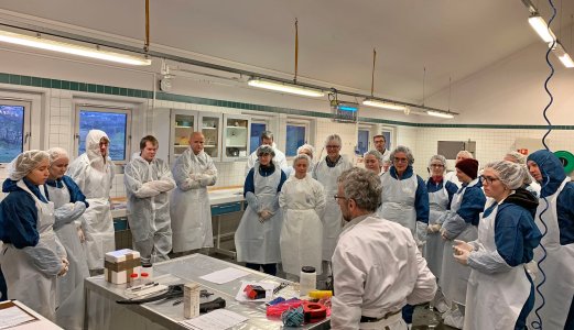 Beredskapskurs - Skal styrke veterinærenes beredskapsrolle