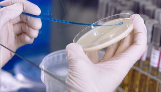 Framleis lite antibiotikaresistens hos dyr og i mat
