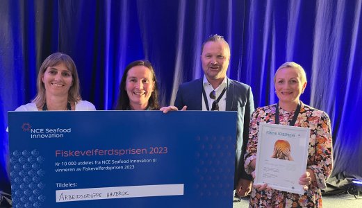 «Arbeidsgruppe havbruk» vant pris for fiskevelferd
