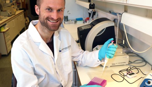 Ny doktorgrad: Laks infisert av PRV-virus tåler lavt oksygennivå dårligere 
