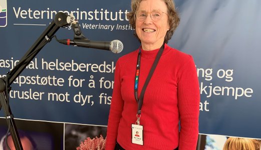 Podcast: God barndom gir settefisken bedre velferd