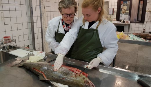 Flere meldinger om syk og død villaks i flere elver i Sør-Norge