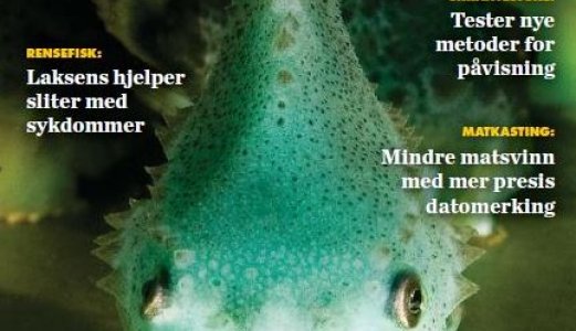 Veterinærinstituttets magasin Én helse