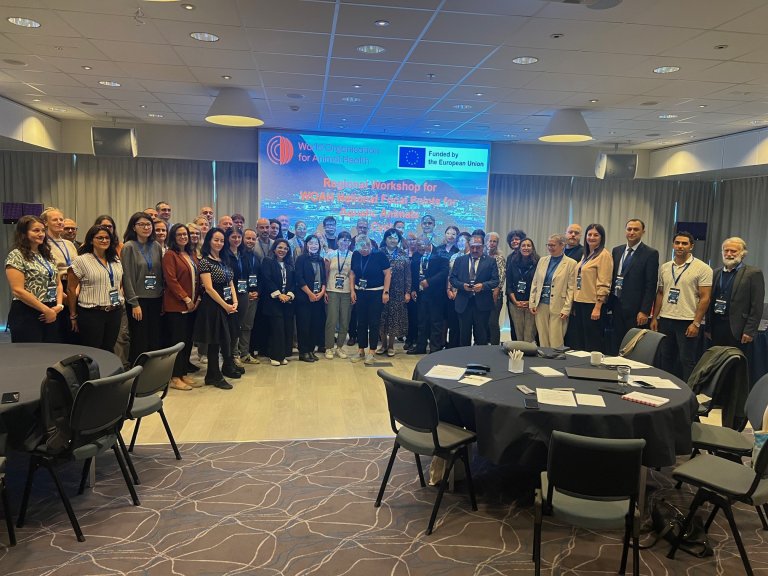 Over 50 representanter fra land i Europa og Sentral-Asia var samlet i Ålesund for å delta på WOAH sitt arbeidsmøte for akvatisk dyrehelse.
