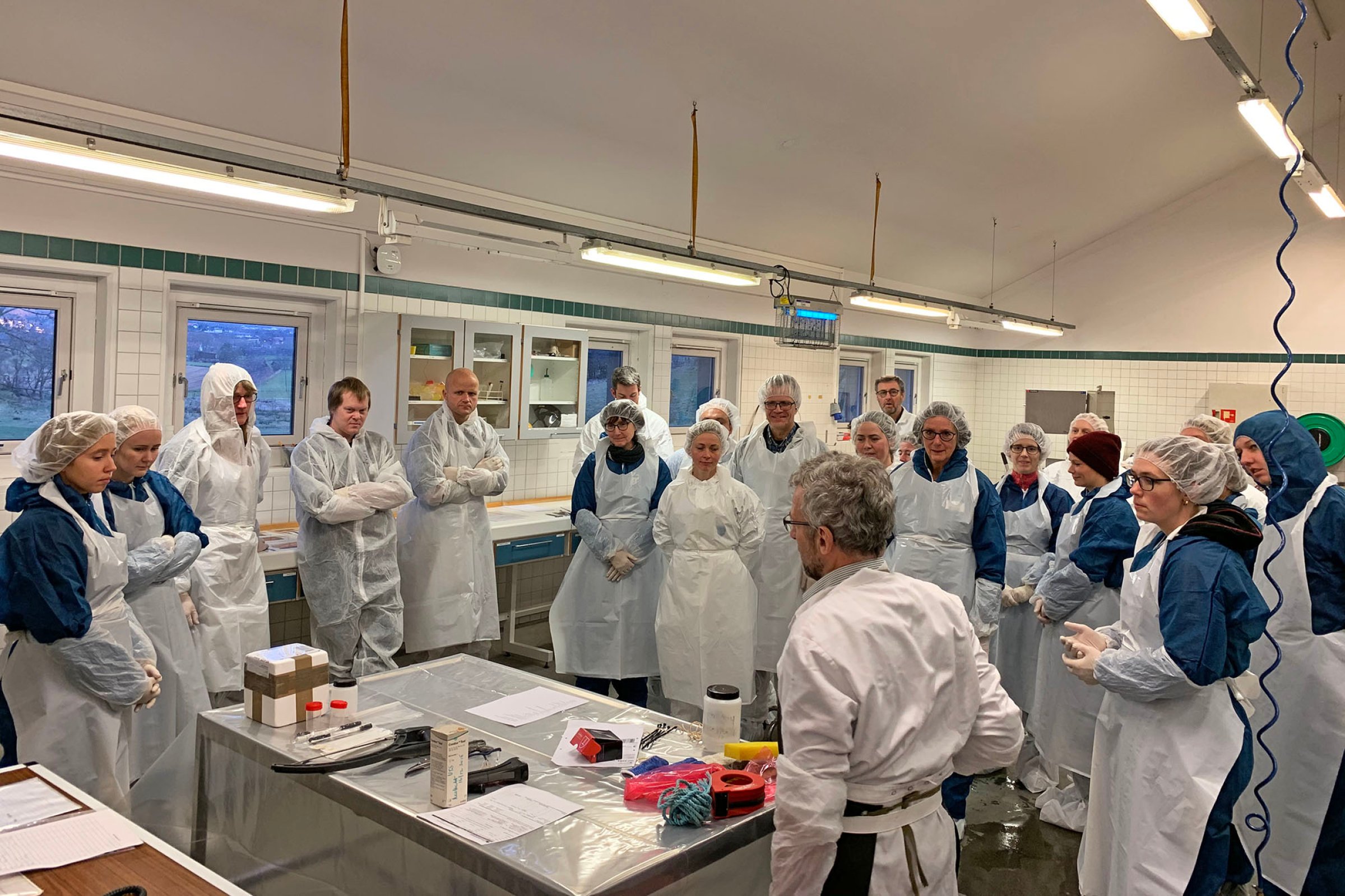 Kurset vil kombinere teori og praktisk trening, samt gi praktiserende veterinærer, inspektører og Veterinærinstituttets medarbeidere mulighet for utveksling av erfaring og til å bli bedre kjent. Foto: Bryndis Holm.