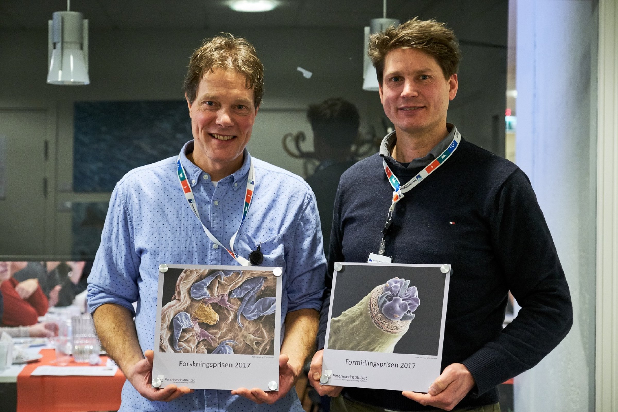 Seniorforsker Arne Holst-Jensen og CWD-koordinator Jørn Våge har vunnet henholdsvis Veterinærinstituttets forskningspris og formidlingspris 2017. Foto: Evind Røhne