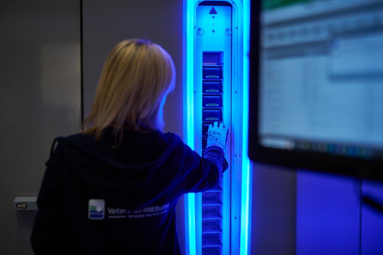 Foto fra biobanken på Veterinærinstituttet. Foto: Eivind Røhne
