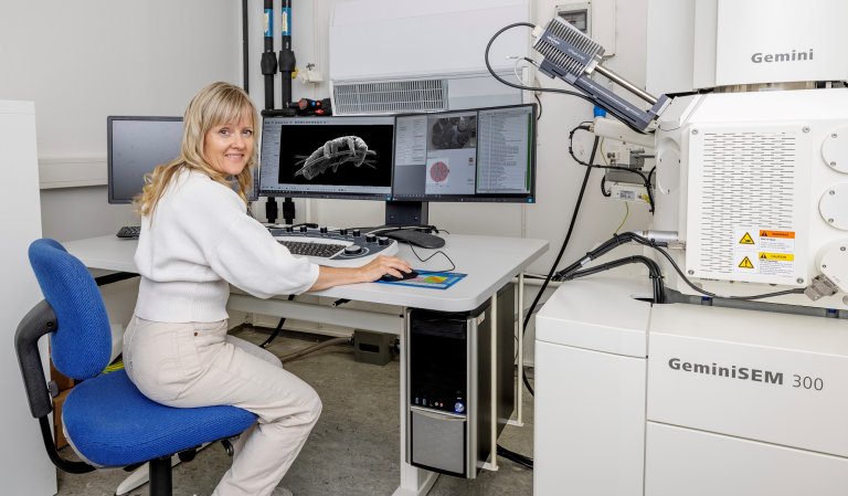 Jannicke Wiik-Nielsen bruker elektronmikroskopet til å ta bildene. Foto: Jo Straube