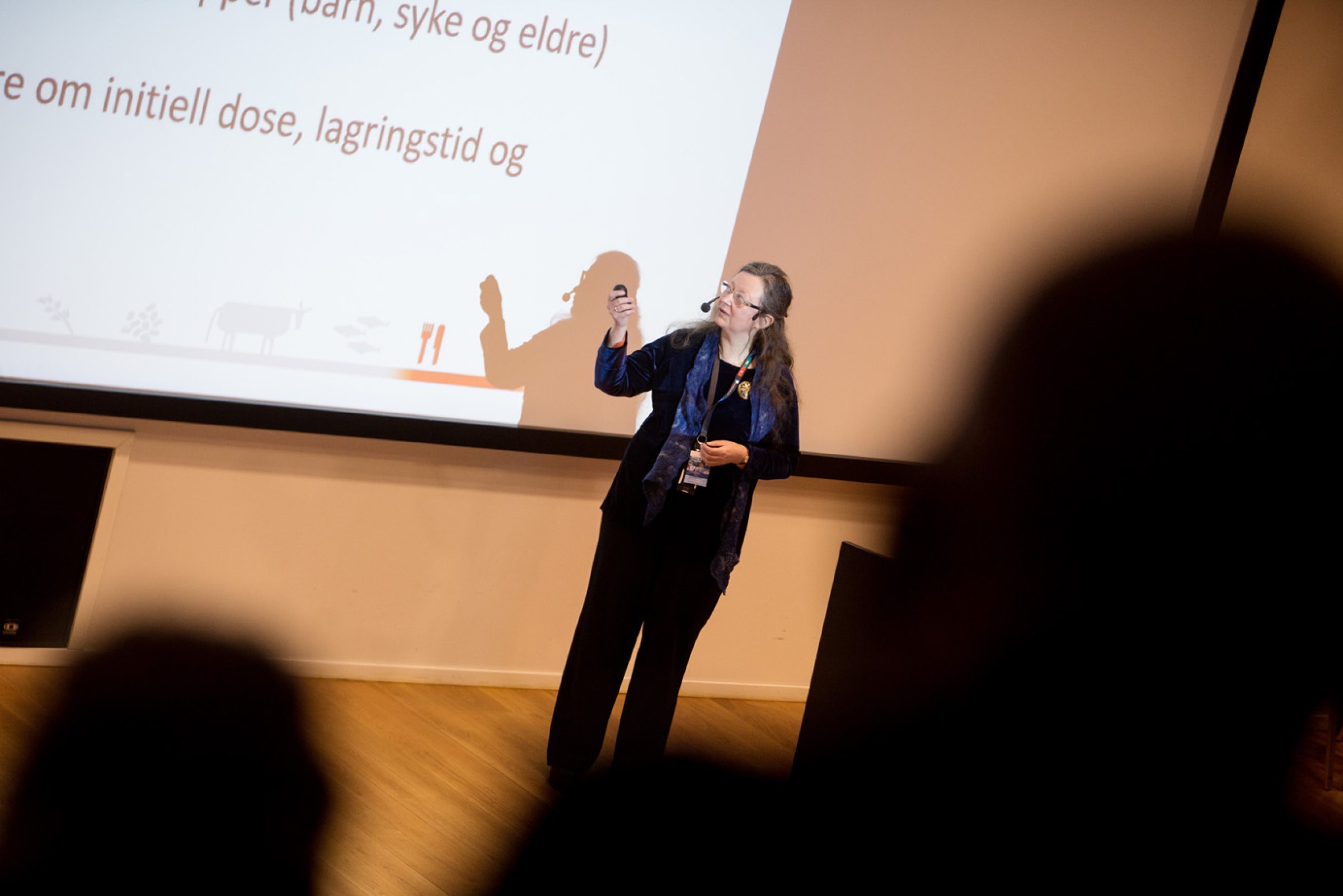 Forsker Taran Skjerdal holdt foredarg om hvor mye listeriabakterier maten kan inneholde og fremdeles være trygg å spise. Foto: EIvind Senneset.