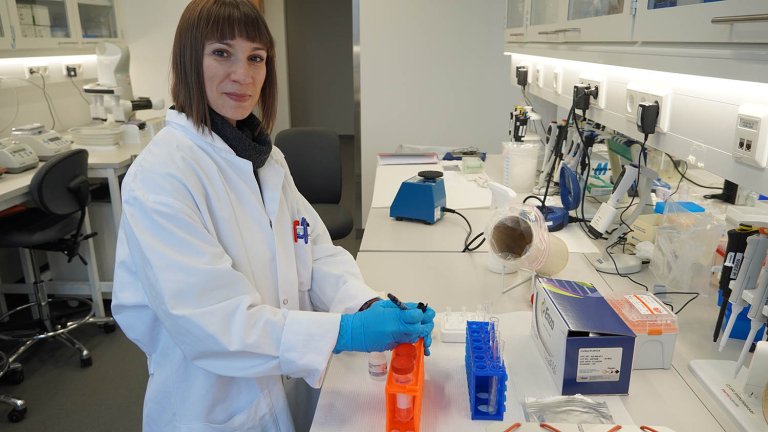 Stipendiat Thomais Tsoulia måler kortisolnivåer i blodplasma fra A. salmon ved bruk av en kolorimetrisk ELISA analyse. Foto: Mari M. Press