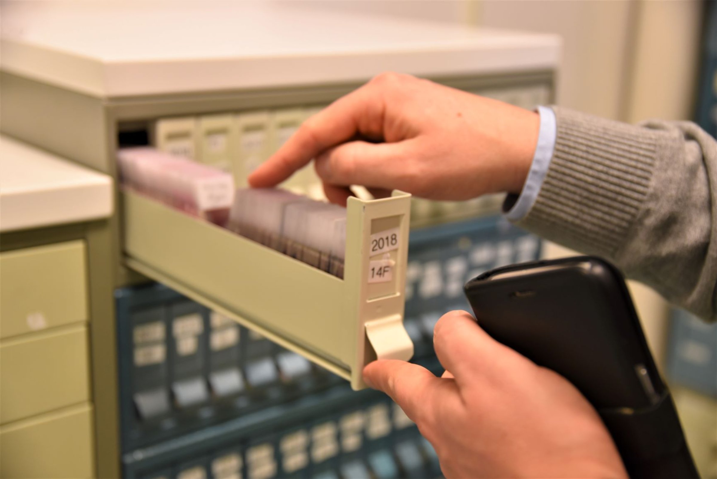 Fysiske snitt fra fisk blir skal nå digitaliseres. Foto: Veterinærinstituttet