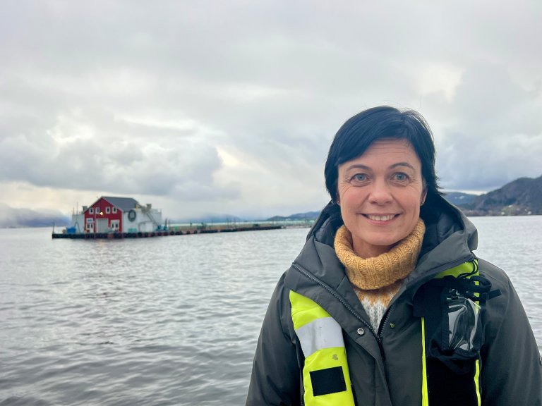 – Etter ein sommar med høge sjøtemperaturar og mykje lakselus kunne ein frykta at tala hadde lege høgare, seier avdelingsdirektør Ingunn Sommerset ved Veterinærinstituttet.