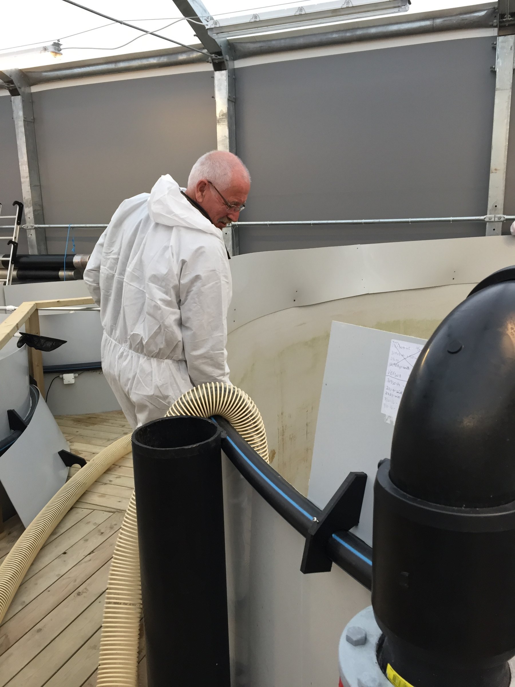 Utsetting av smolt i Ranaelva. Utsettingene skjer etter at vassdraget ble behandlet med rotenon mot Gyrodactylus salaris. Foto: Håvard Lo, Veterinærinstituttet.