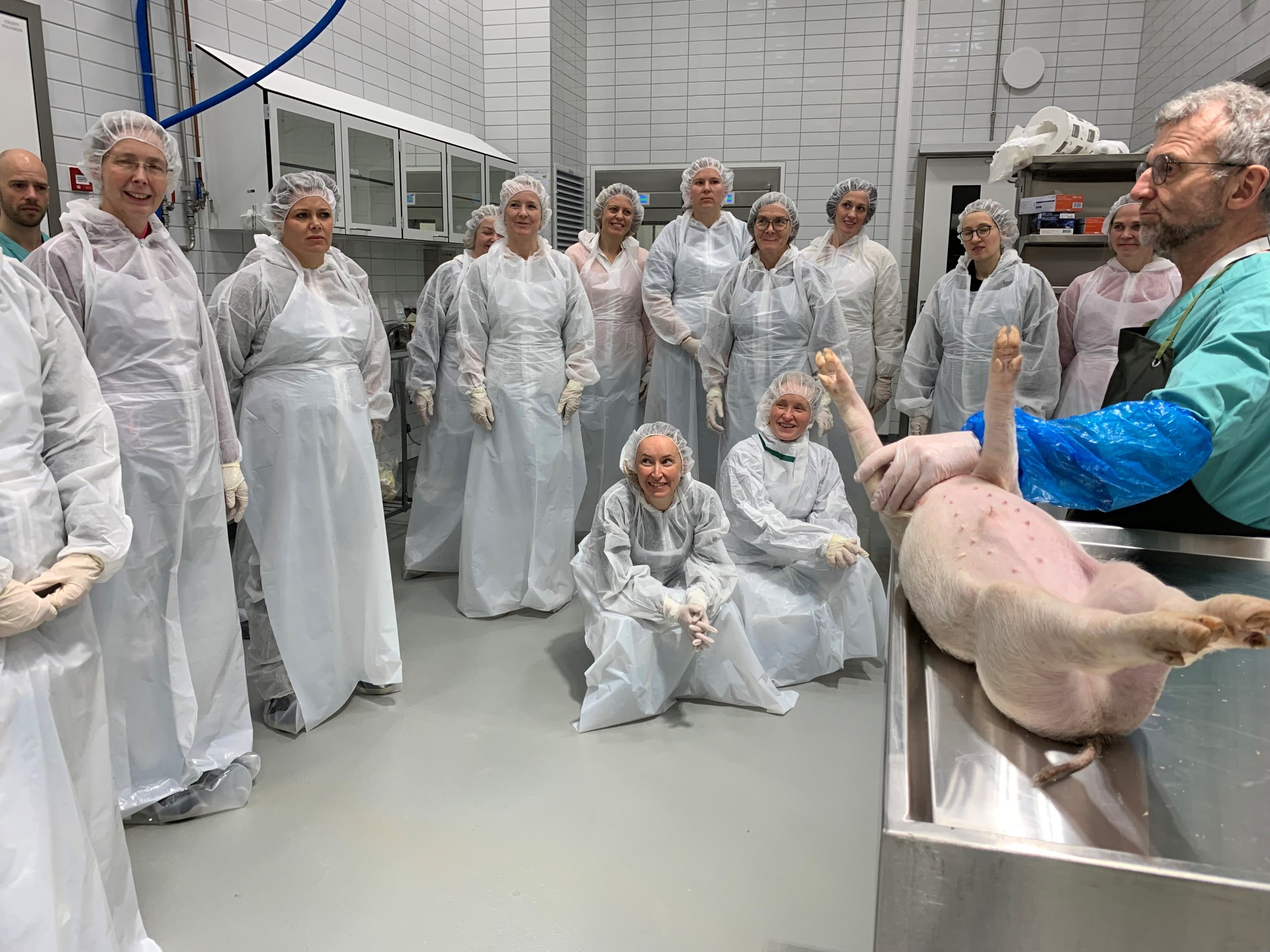 Deltakerne fikk øvd seg for å øke kompetansen når det gjelder diagnostiske kriterier for viktige sykdommer og vurdering av organfunn ved obduksjon. Foto: Bryndis Holm